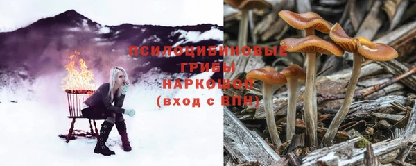 дмт Алексин