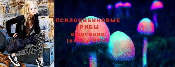 дмт Покров