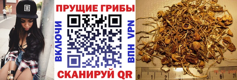 shop какой сайт  Конаково  Галлюциногенные грибы мухоморы  omg зеркало 